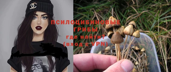 а пвп мука Абдулино