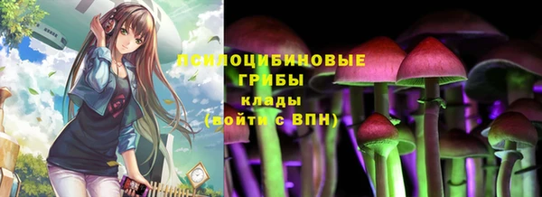 МДПВ Абаза