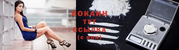 МДПВ Абаза